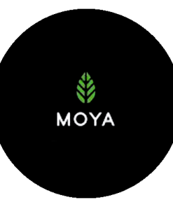 Moya