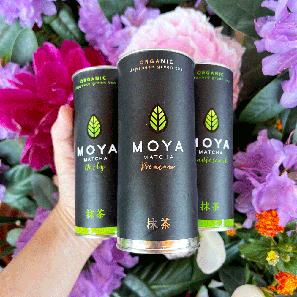 Moya Matcha Grünteepulver drei Dosen Premium, Traditional und Daily, Blumen