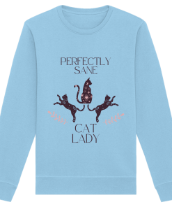 hellblaues Cat Lady Sweatshirt Damen mit lustigem Katzenmotiv und Schriftzug